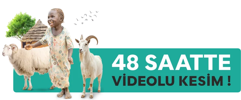 VIDEOLU KESIM